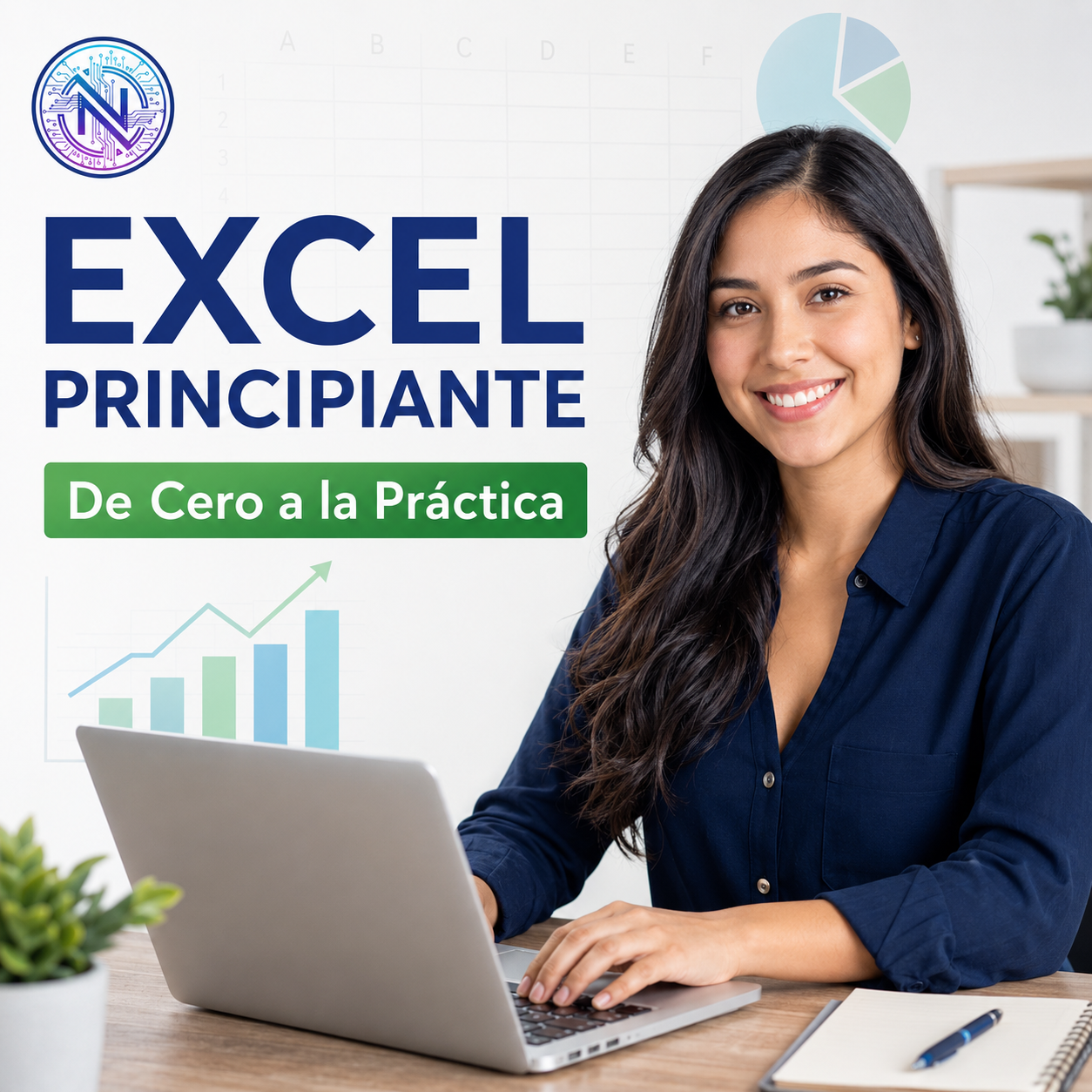 Excel Principiante - NelguiSolution Academy